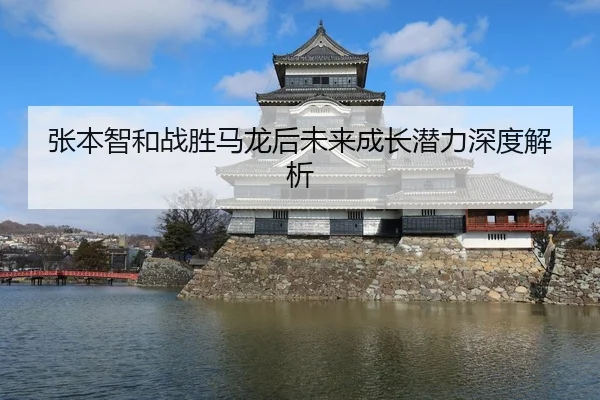 张本智和战胜马龙后未来成长潜力深度解析