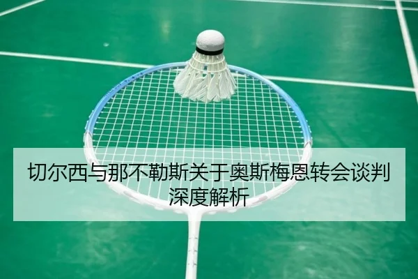 切尔西与那不勒斯关于奥斯梅恩转会谈判深度解析